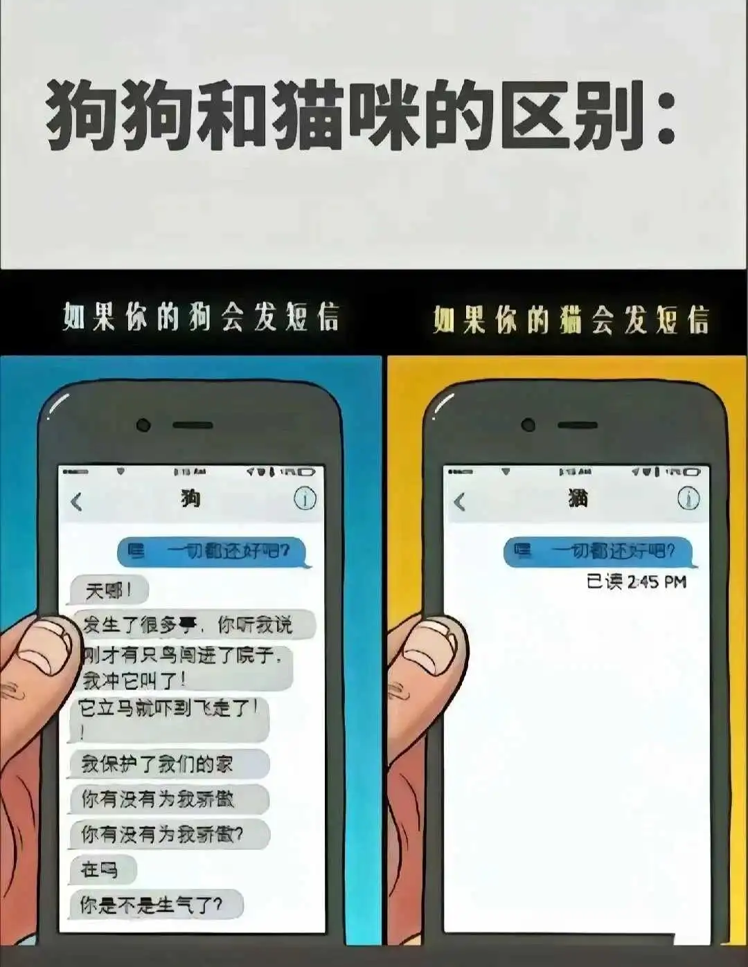西檬之家BDSM入圈指南:新手如何安全入门? 一