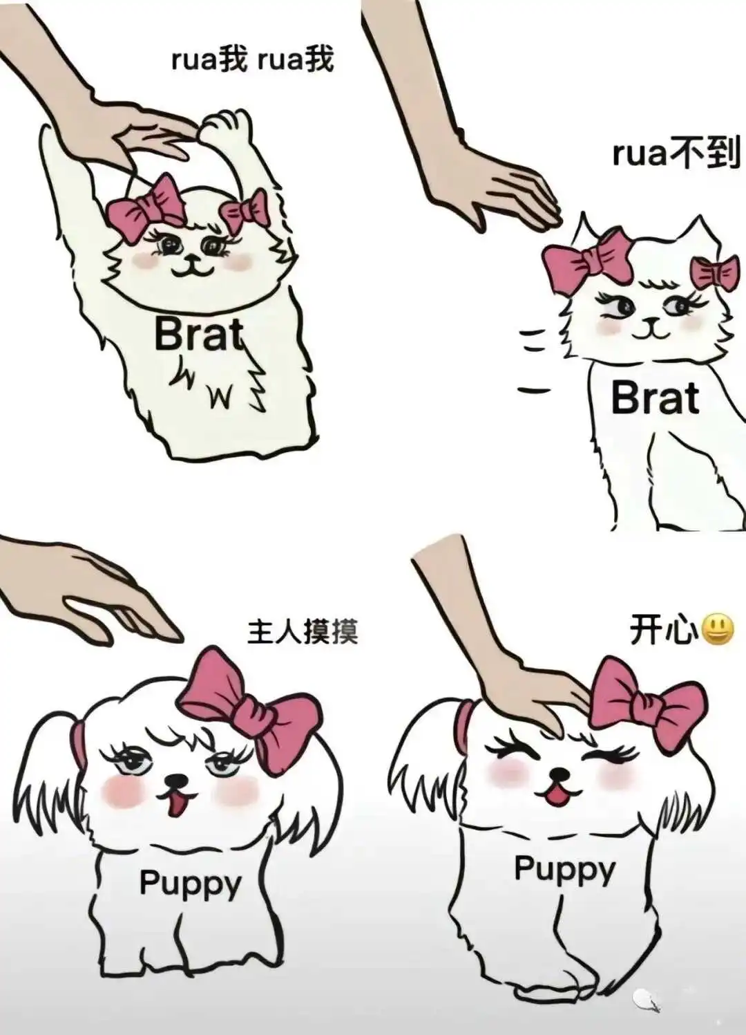 西檬之家字母圈DS关系是什么? 一