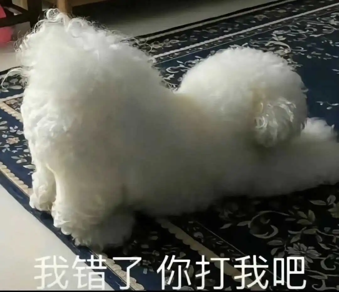 西檬之家字母圈Sp小圈是什么意思? 一