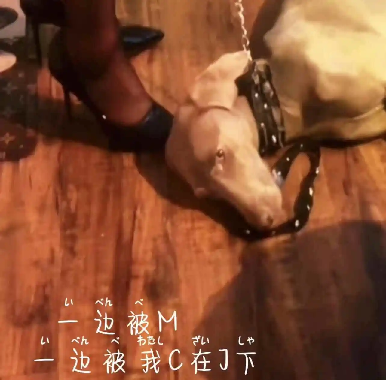 西檬之家字母圈SP spanking到底是什么意思 一