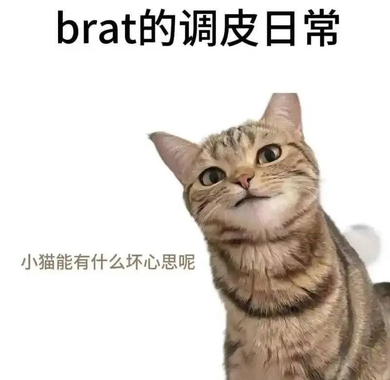 西檬之家K8猫系是什么? 一
