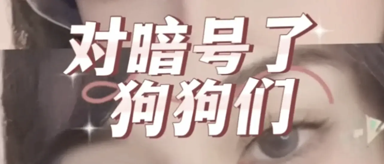 西檬之家-k9犬系是什么? 一