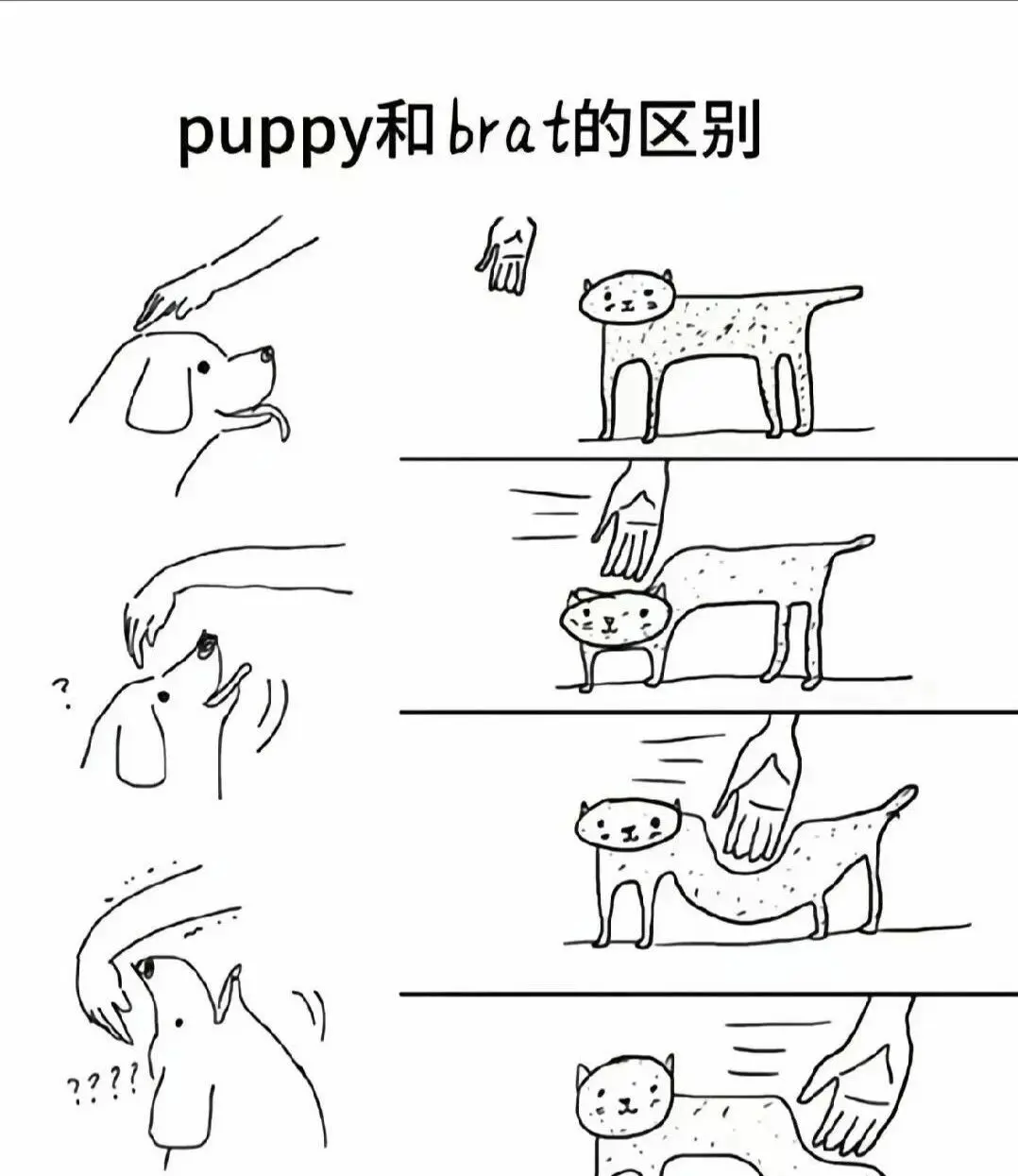 西檬之家s属性是指什么? 一