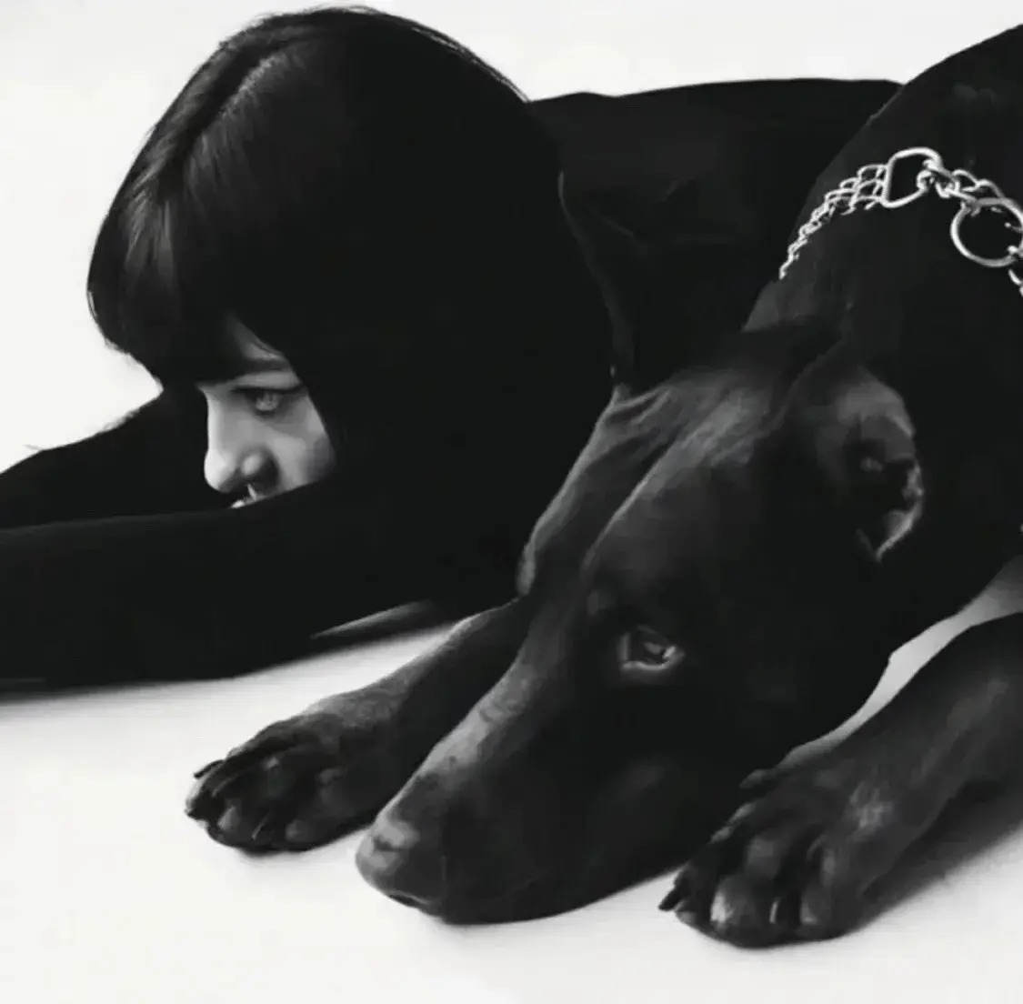 西檬之家Dirty Talk是什么?字母圈新人入门 一