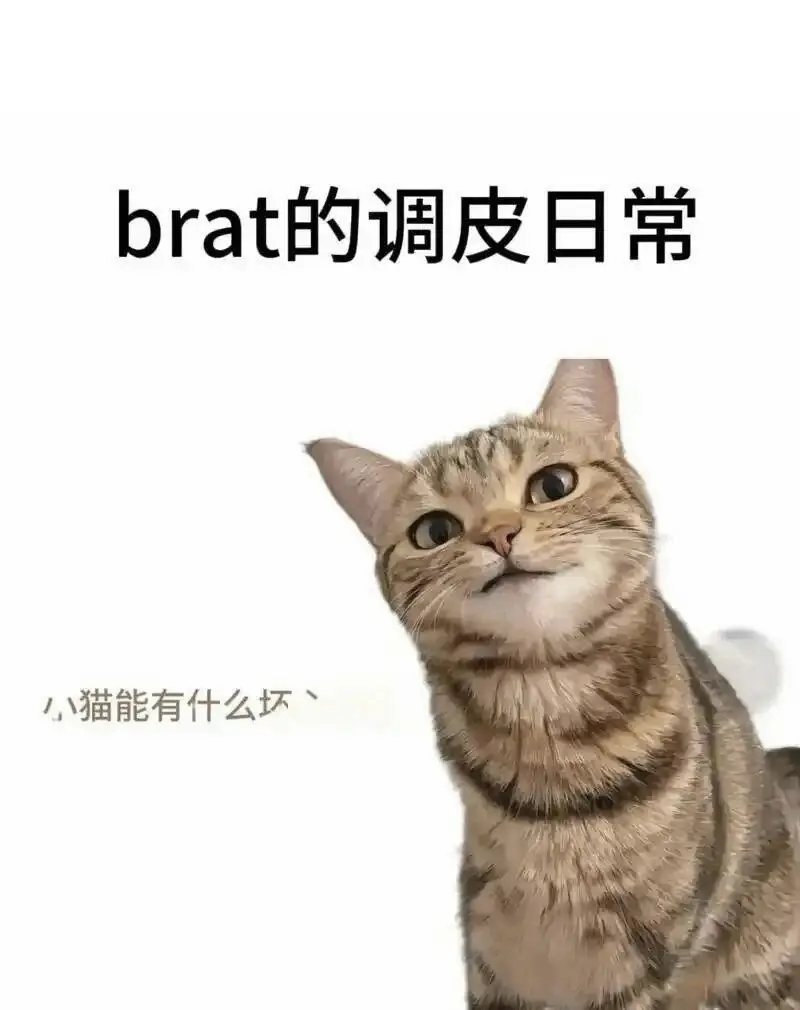 西檬之家-Sp实践指南:从SSC原则到安全词设置 一