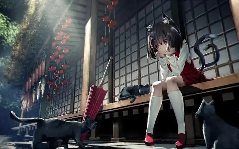 西檬之家k8猫系是什么? 一